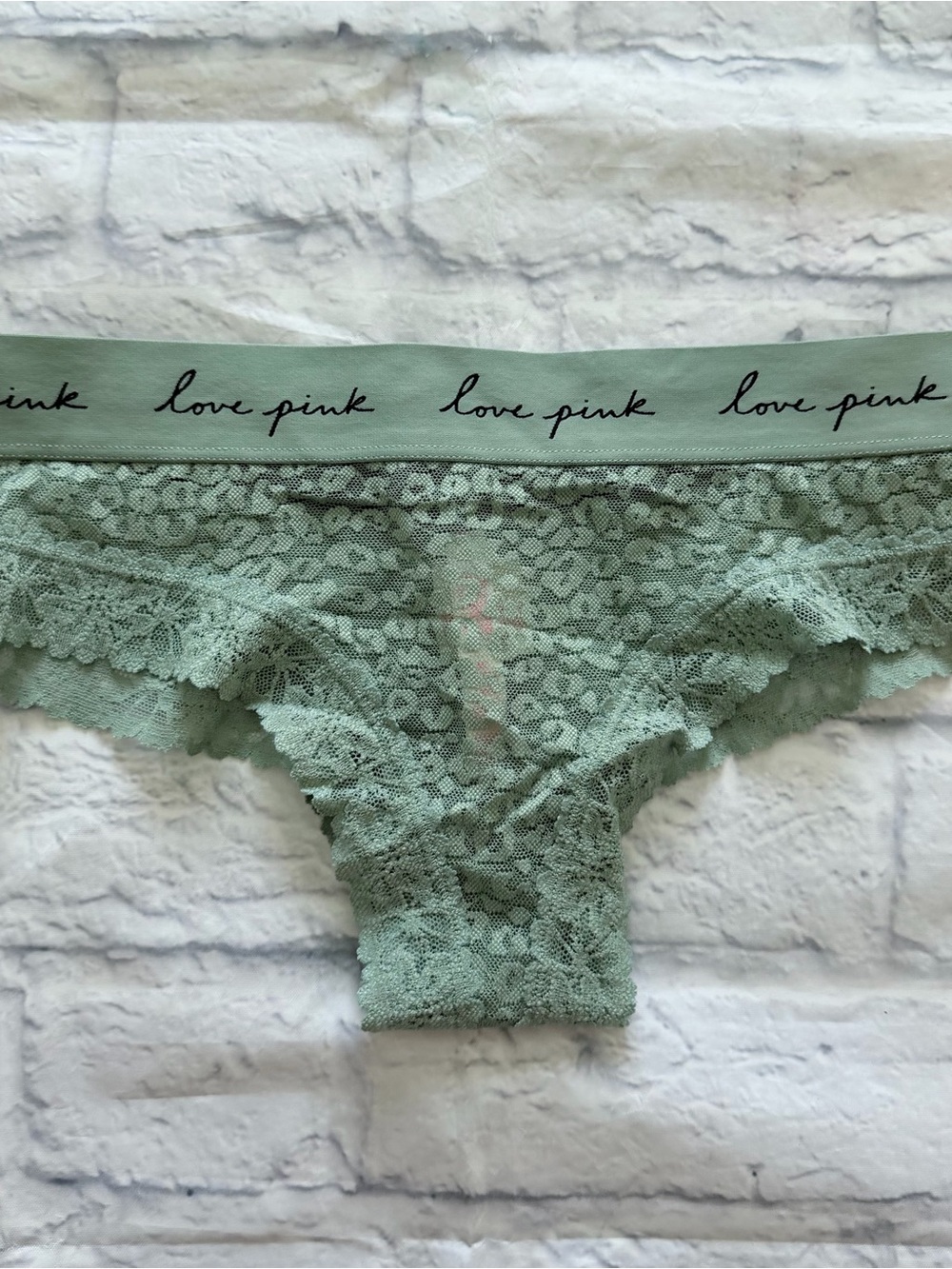 PINK Victoria’s Secret Cheekster Panties M | Sage Leopard Lace NWT